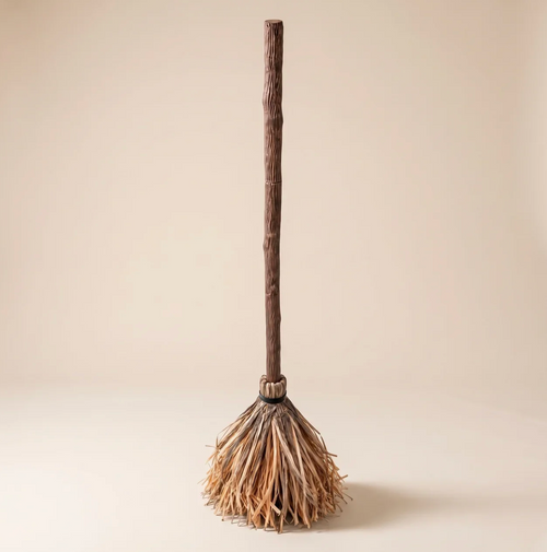 The Self-Moving Broom